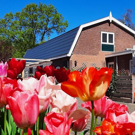B&B De Hoffstal 사쎈하임 외부 사진